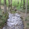 Rando des Badrais - St Didier Sous Riverie - 24 avril 2016